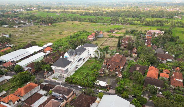 Rare Freehold Land With Ricefield View At Ubud Main Road 2