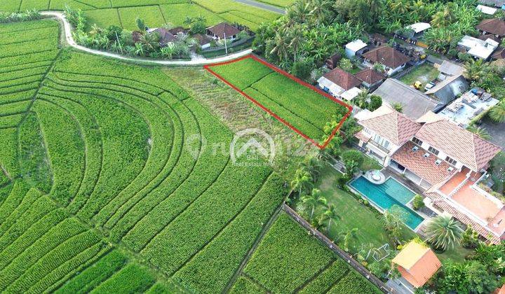 Land for sale with terraced rice fields view in Tibubiu area 2