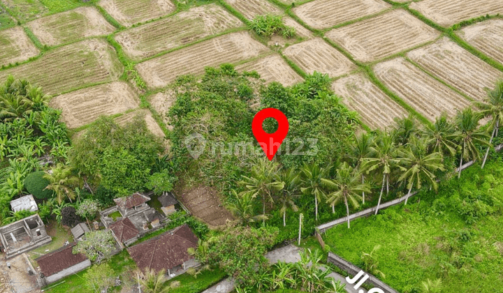 Land for sale with Sawah Abadi View on Jl Campuhan Ubud 1