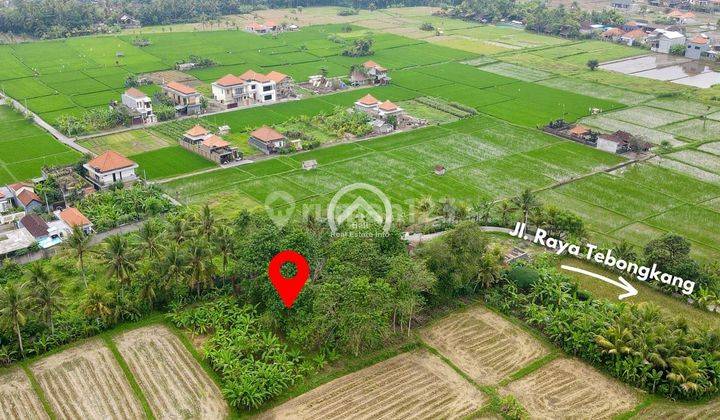 Land for sale with Sawah Abadi View on Jl Campuhan Ubud 2