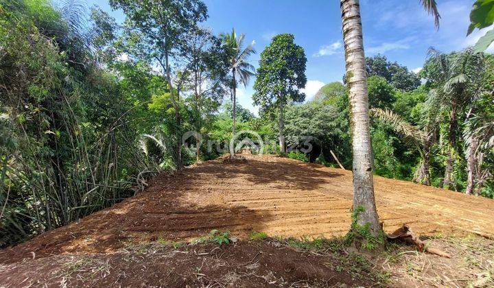 Tanah Payangan Ubud Dengan Pemandangan Jungle Sungai 2