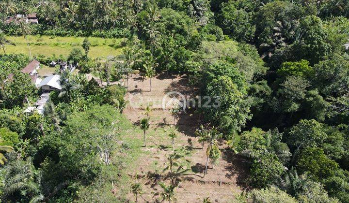 Tanah Payangan Ubud Dengan Pemandangan Jungle Sungai 1