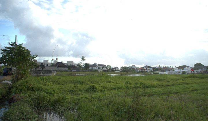 Kavling Baru di Pantai Cemagi Luasan 2 Are  2