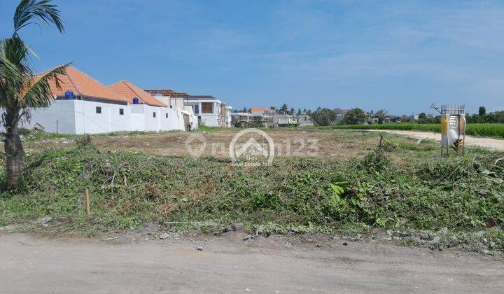 Super Rare Full View Rice Field Land in Seseh for Rent 2