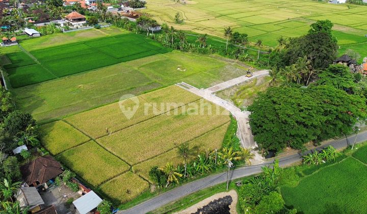 Plot 3 Are Kaba Kaba Tabanan Plot 3 Are Kaba Kaba Tabanan