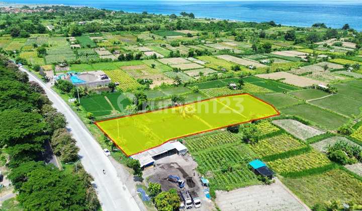 Dijual Tanah Premium Jalan Utama Bypass ******** Klungkung