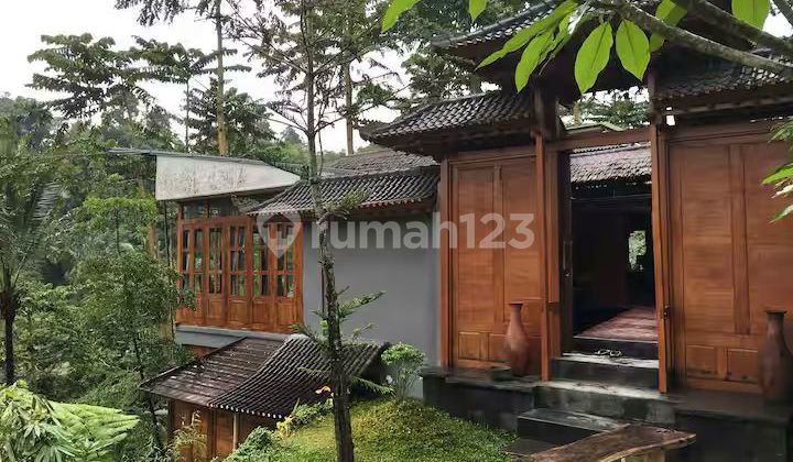 The ULTIMATE Jungle View for Freehold Sale! Tegalalang - Ubud