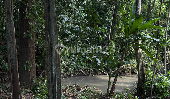 Land for Lease North Pererenan Tumbak Bayuh Land for Lease North Pererenan Tumbak Bayuh