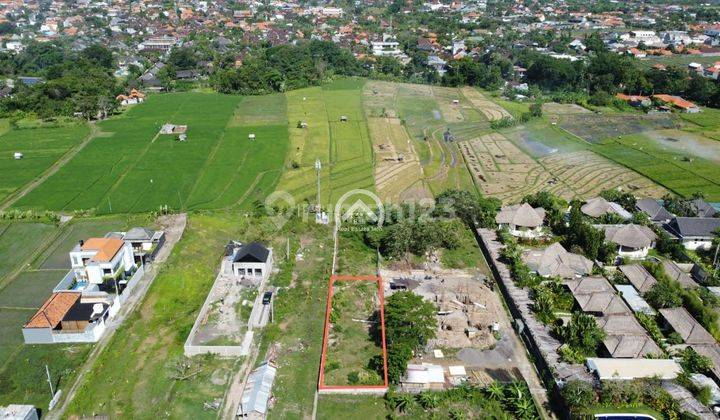 Umalas Bumbak Land Villa Environment And Rice Field View 1