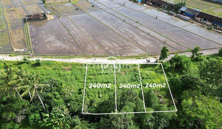 3 Plot Tanah Kavlingan Villa Dekat Pantai Kedungu 2