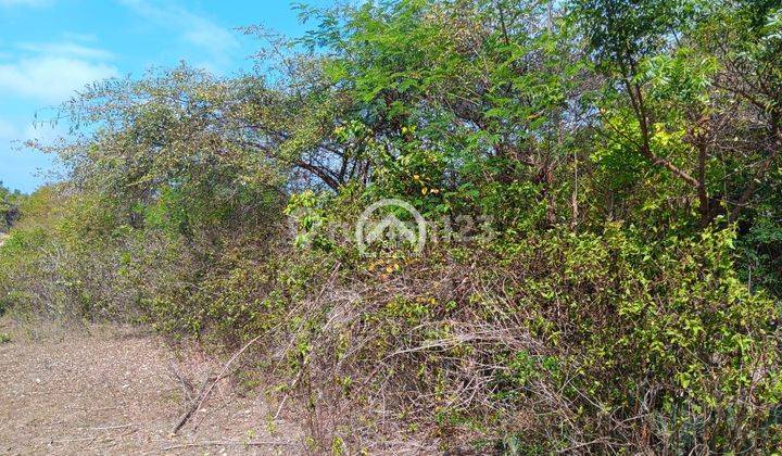 Tanah View Laut di Goa Gong Atas, Kuta Selatan Badung 2