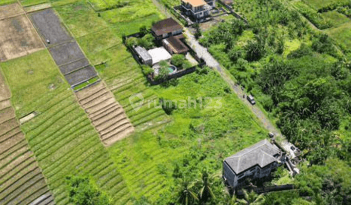 Land in Kedungu 15 Minutes to Kedungu Beach 1