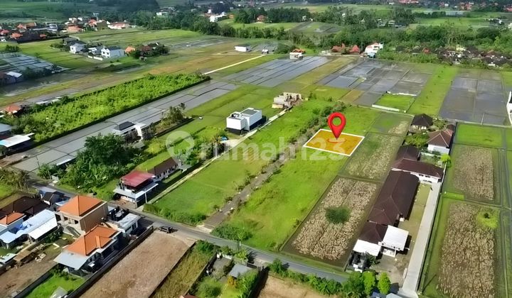 For Sale: A Plot of Land in the Kedungu Beach Area, Tabanan, Bali For Sale: A Plot of Land in the Kedungu Beach Area, Tabanan, Bali