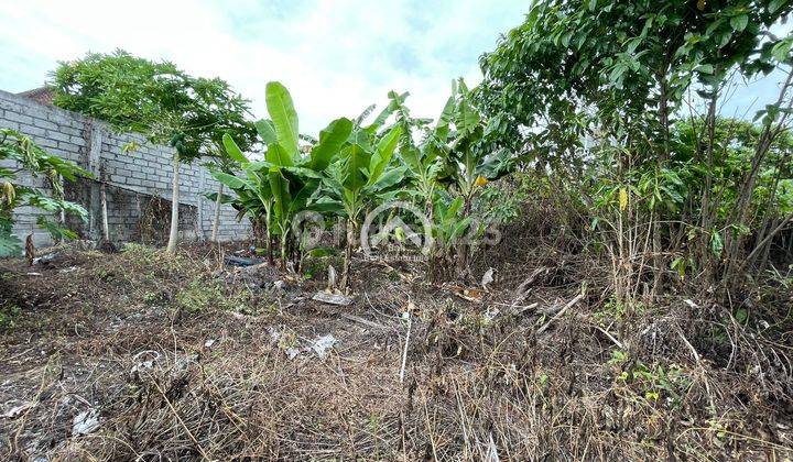 Land For Sale In Beachside Area Of Pererenan