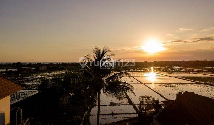 Land For 38 Years Lease In Cemagi With Rice Field View 2