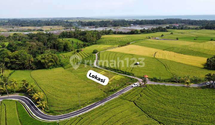 Tanah dengan Pemandangan Sawah dan Laut 1Km ke Pantai Abiankapas Tanah dengan Pemandangan Sawah dan Laut 1Km ke Pantai Abiankapas