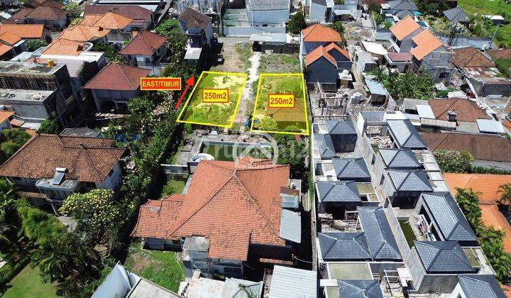 Two Plots of Freehold Land In Kuwum Near Umalas 2