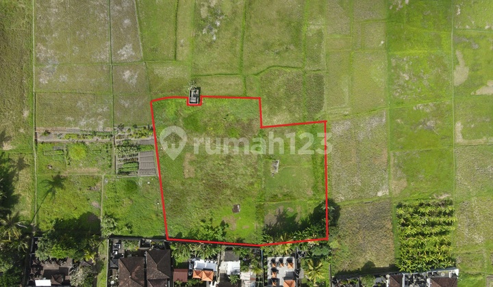 Tanah hak guna bangunan dijual di Buwit dengan pemandangan sawah