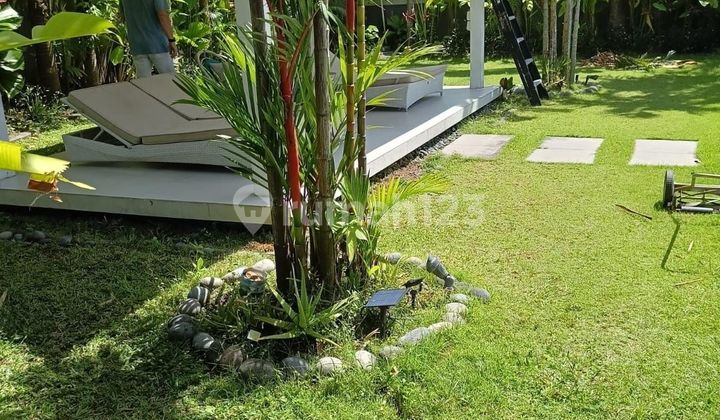 Tanah Premium di Umalas Lestari