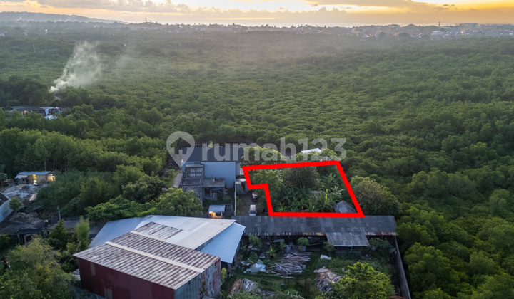 Tanah Dijual View Mangrove di Jimbaran SHM Tanah Dijual View Mangrove di Jimbaran SHM