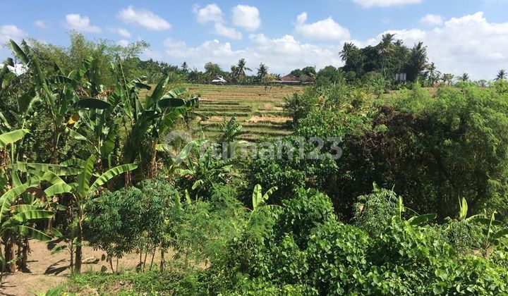 Tanah View Sungai dan Jungle di Singapadu Gianyar Tanah View Sungai dan Jungle di Singapadu Gianyar