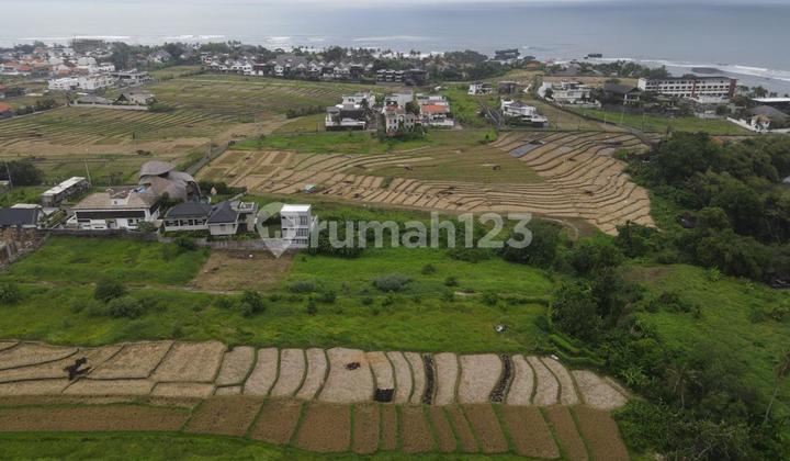 Land For Lease Near Cemagi Beach