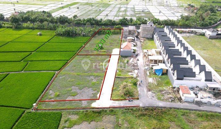 Land For Leasehold 30 Years Located In Jl Yudistira Seminyak 1