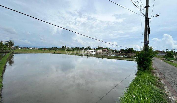 Tahah Luasan 8 Are di Kedungu View Sawah Dan Pantai 2