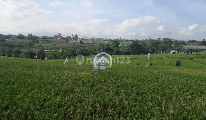 Tanah Di Padonan Pegending Super Full View Sawah 1