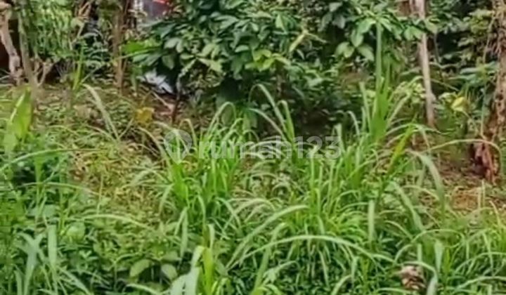 Tanah di Jln Bhuanasari Wanagiri Dekat ke Air Terjun Banyuwana