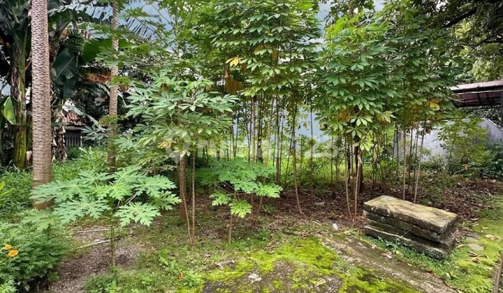 Plot in Tebet Area, South Jakarta