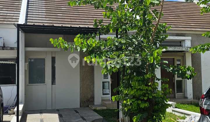 For Rent: Cheap Suvarna Sutera Fedora House For Rent: Cheap Suvarna Sutera Fedora House