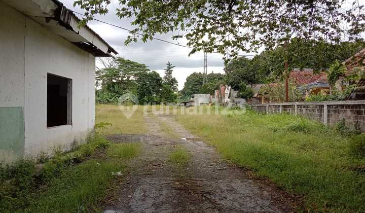 Land for Sale in Sentul City Below NJOP Land for Sale in Sentul City Below NJOP