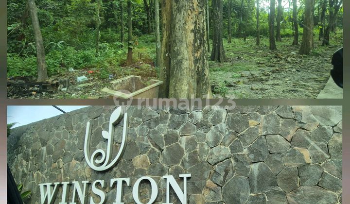 Jati Land with Trees for Sale in Cisauk Near B S D