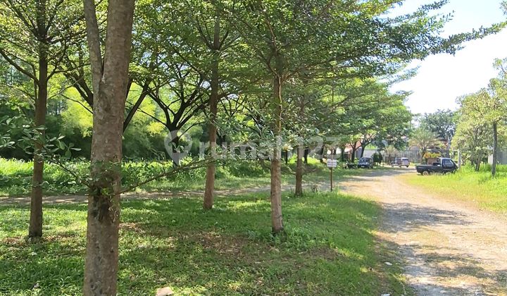 Dijual Kavling Di Sentul Dibawah Harga Pasar