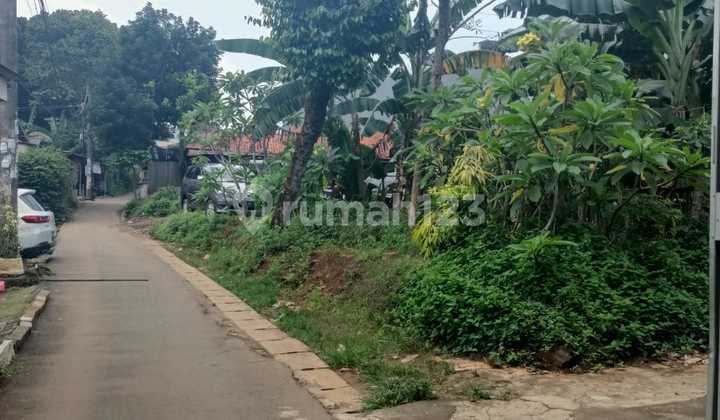 Di Jual Tanah Murah Banget di Daerah Nusa Loka BSD.