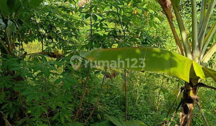 Cheapest Land 1020m²..Serpong Buaran - Near Unpam, Ciater Toll