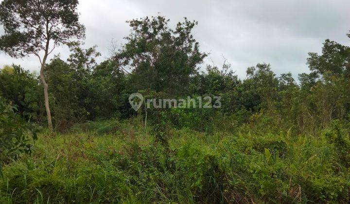 Murah, lokasi bagus, Sijuk, Belitung.. pinggir pantai 3