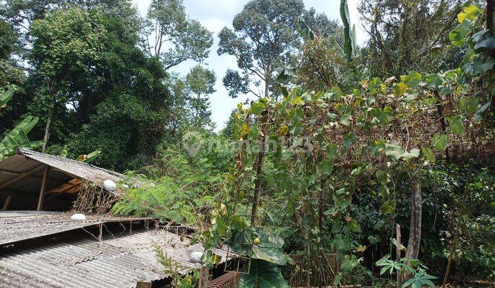 Tanah perkebunan buah2, duren,nangka, manggis  2