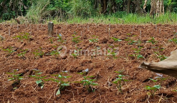 Serpong Tanah Bagus Murah:1005m² 2Km ke Pintu Toll