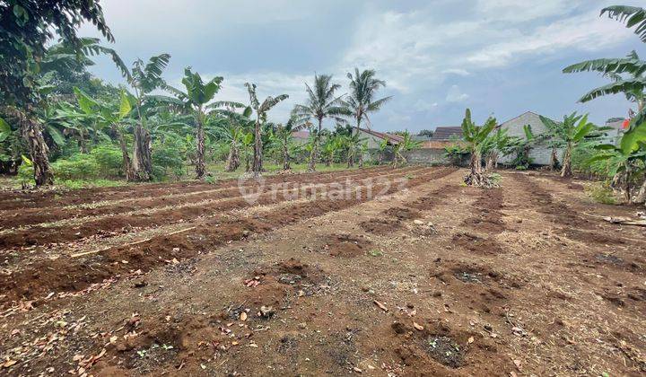 Tanah Kavling Cocok Untuk Perumahan Kawasan Bojong Gede Bogor 1