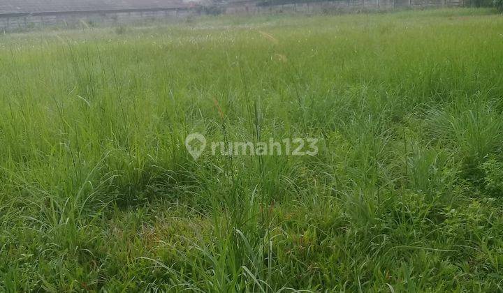 Tanah Kavling Strategis Untuk Pabrik Gudang Kawasan Raya Legok 4