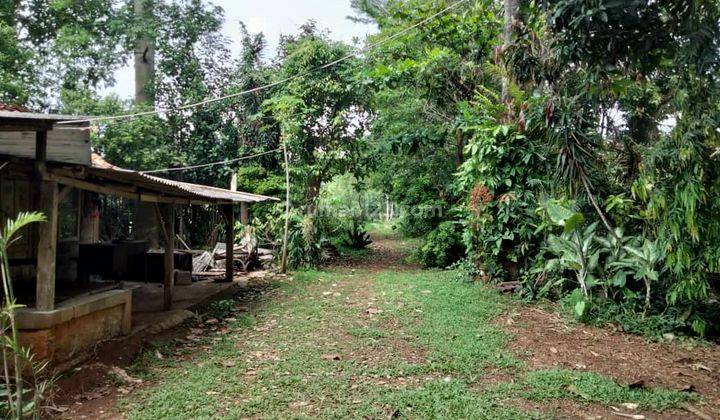 Tanah Strategis Depan Sekolah Candle Tree Jelupang Serpong Bsd 2