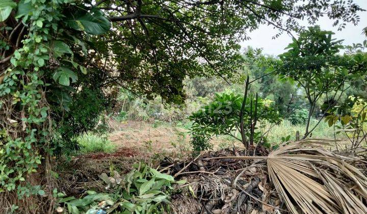 Tanah Strategis Depan Sekolah Candle Tree Jelupang Serpong Bsd 2