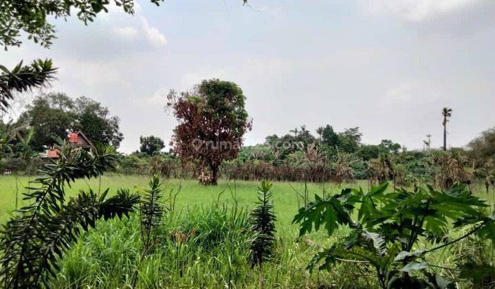 Tanah Strategis Depan Sekolah Candle Tree Jelupang Serpong Bsd 1