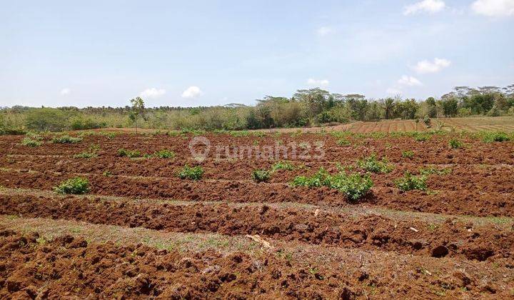 Dijual cepat tanah pertanian diSukabumi 2