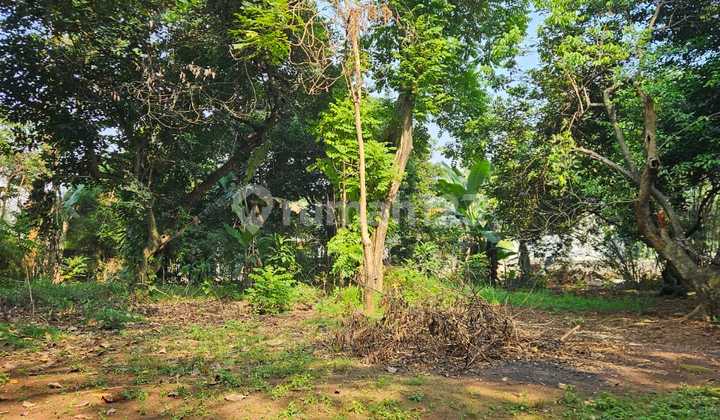 Dijual Tanah Siap Bangun Jawabarat Bantar Gebang Dijual Tanah Dibekasi Bantar Gebang Nusa Indah Bekasi Banyak Cluster Dibekasi Jual Murah