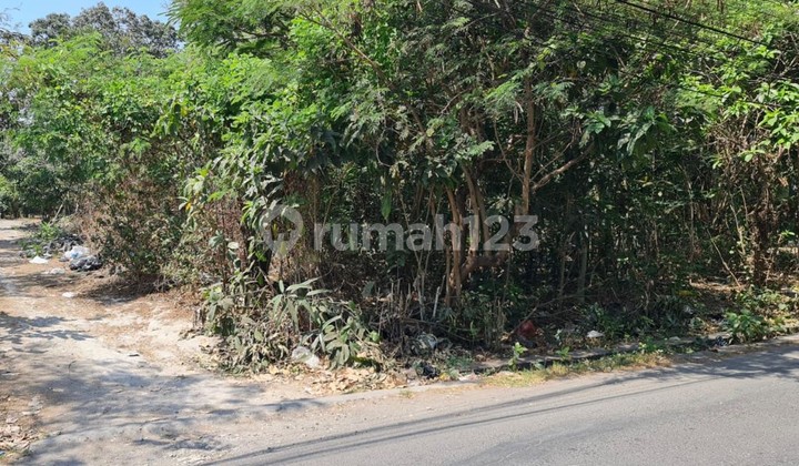 FOR FREEHOLD LAND IN THE GREAT AREA SEMINYAK