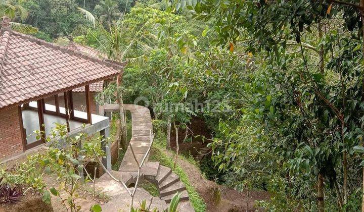 Freehold - Stunning Ubud Property with Breathtaking Valley Views - Ready for Your Personal Touch 1