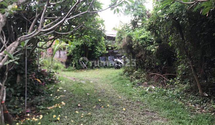 RARE! 2,450 Sqm Freehold Land  With Views Of Rice Field on Sayan Main Road, Ubud 2